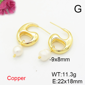 Fashion Copper Earrings  F6E301704bhia-L036