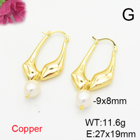 Fashion Copper Earrings  F6E301706bhia-L036