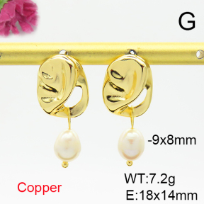 Fashion Copper Earrings  F6E301709bhva-L036