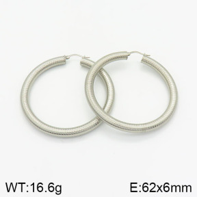 Stainless Steel Earrings  2E2001879ablb-368