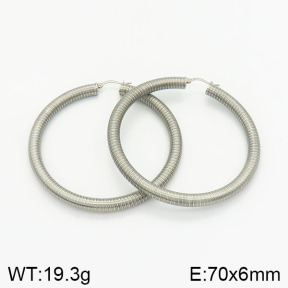 Stainless Steel Earrings  2E2001880ablb-368