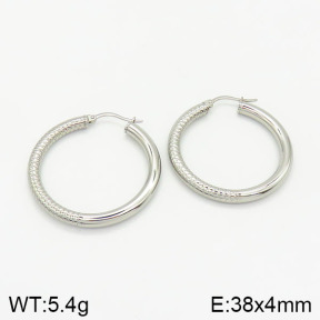 Stainless Steel Earrings  2E2001881ablb-368
