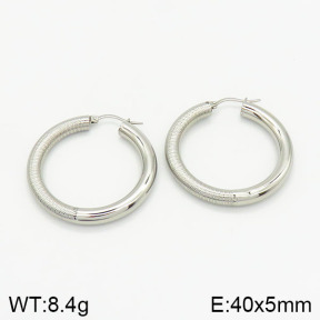 Stainless Steel Earrings  2E2001882ablb-368