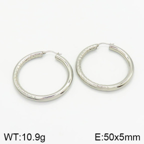 Stainless Steel Earrings  2E2001883ablb-368