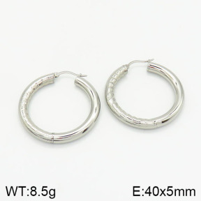 Stainless Steel Earrings  2E2001884ablb-368