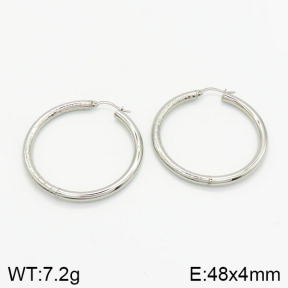 Stainless Steel Earrings  2E2001885ablb-368