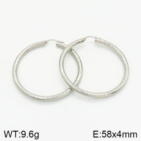 Stainless Steel Earrings  2E2001886ablb-368