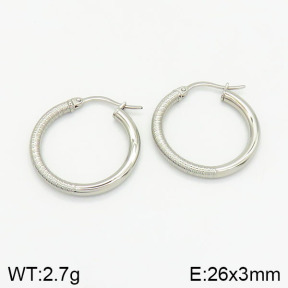 Stainless Steel Earrings  2E2001887ablb-368