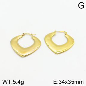 Stainless Steel Earrings  2E2001888vbmb-368