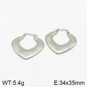 Stainless Steel Earrings  2E2001889baka-368