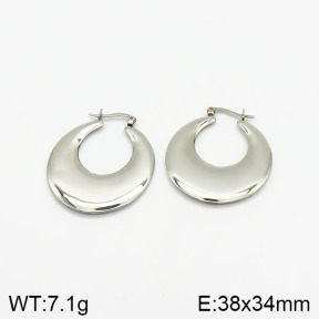 Stainless Steel Earrings  2E2001890baka-368