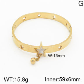 Stainless Steel Bangle  5BA300195bbml-689