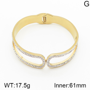 Stainless Steel Bangle  5BA401336vbnb-689