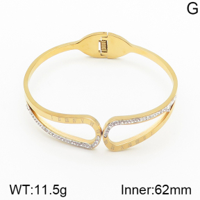 Stainless Steel Bangle  5BA401341vbnb-689