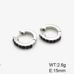 Closeout( No Discount)  Stainless Steel Earrings  CL6E00023vhha-900