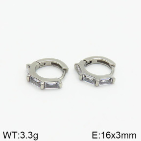 Closeout( No Discount)  Stainless Steel Earrings  CL6E00026vhml-900