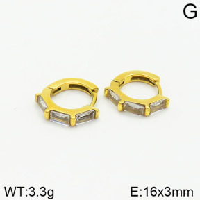 Closeout( No Discount)  Stainless Steel Earrings  CL6E00027ahpv-900