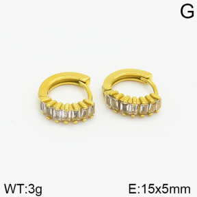 Closeout( No Discount)  Stainless Steel Earrings  CL6E00028vhmv-900