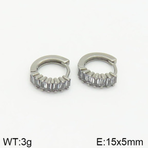 Closeout( No Discount)  Stainless Steel Earrings  CL6E00029vhkb-900