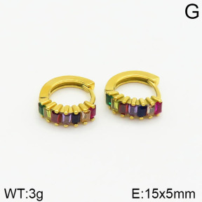 Closeout( No Discount)  Stainless Steel Earrings  CL6E00030vhmv-900