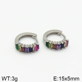 Closeout( No Discount)  Stainless Steel Earrings  CL6E00031vhkb-900