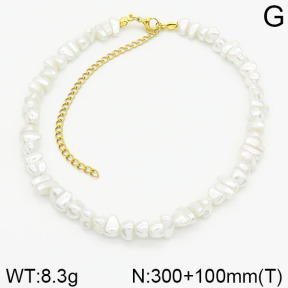 Closeout( No Discount)  Stainless Steel Necklace  CL6N00010vhhl-900