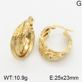 Stainless Steel Earrings  5E2002280aajo-703