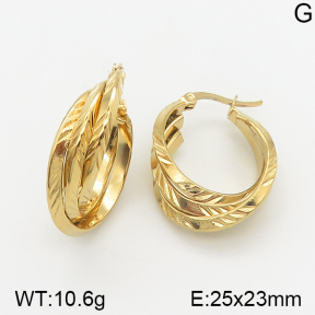 Stainless Steel Earrings  5E2002281aajo-703