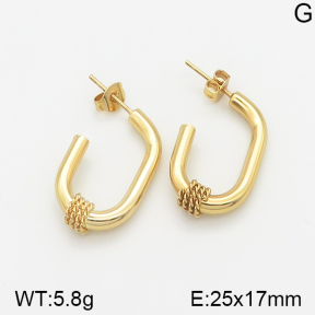 Stainless Steel Earrings  5E2002284aajo-703