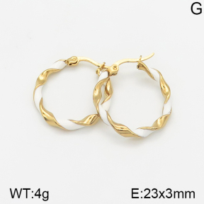 Stainless Steel Earrings  5E2002290aajo-703