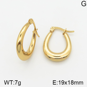 Stainless Steel Earrings  5E2002307vajj-703