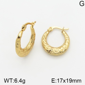 Stainless Steel Earrings  5E2002309vajj-703