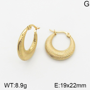 Stainless Steel Earrings  5E2002310vajj-703