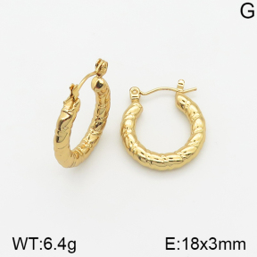 Stainless Steel Earrings  5E2002311vajj-703