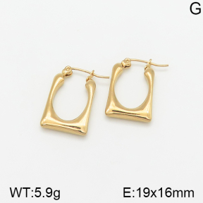 Stainless Steel Earrings  5E2002313vajj-703