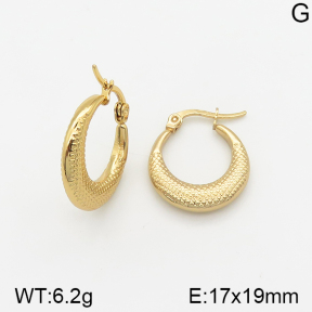 Stainless Steel Earrings  5E2002314vajj-703