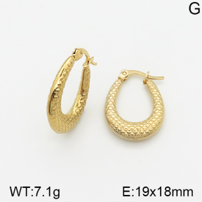 Stainless Steel Earrings  5E2002315vajj-703