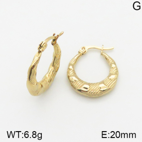 Stainless Steel Earrings  5E2002316vajj-703