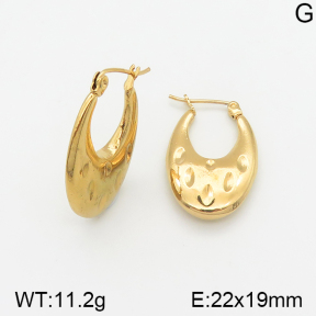 Stainless Steel Earrings  5E2002318vajj-703