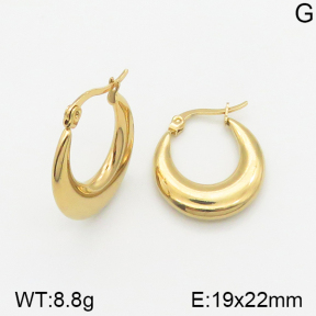 Stainless Steel Earrings  5E2002319vajj-703