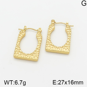 Stainless Steel Earrings  5E2002320vajj-703