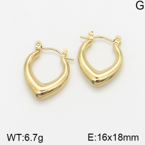 Stainless Steel Earrings  5E2002321vajj-703