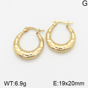 Stainless Steel Earrings  5E2002325vajj-703