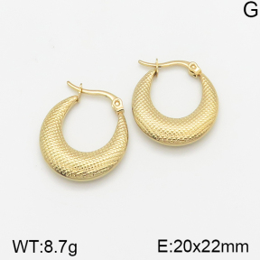 Stainless Steel Earrings  5E2002330vajj-703