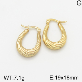 Stainless Steel Earrings  5E2002331vajj-703