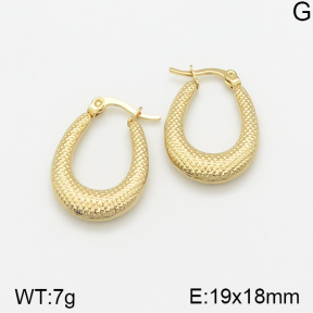 Stainless Steel Earrings  5E2002332vajj-703