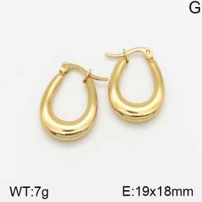 Stainless Steel Earrings  5E2002333vajj-703