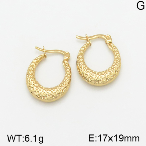 Stainless Steel Earrings  5E2002334vajj-703