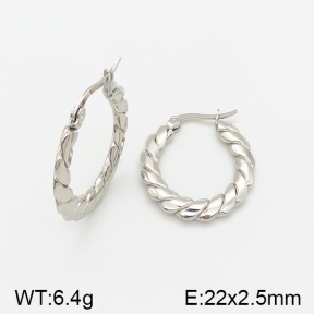 Stainless Steel Earrings  5E2002337baka-703