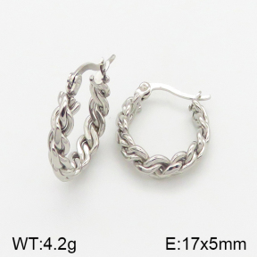 Stainless Steel Earrings  5E2002338aajl-703